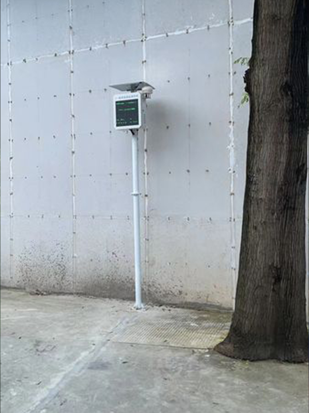 default (2).jpg