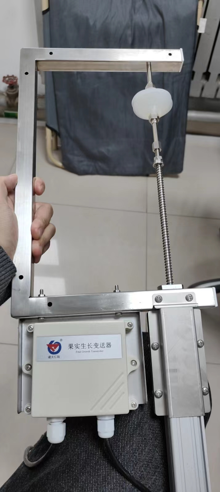 果实生长变送器.jpg