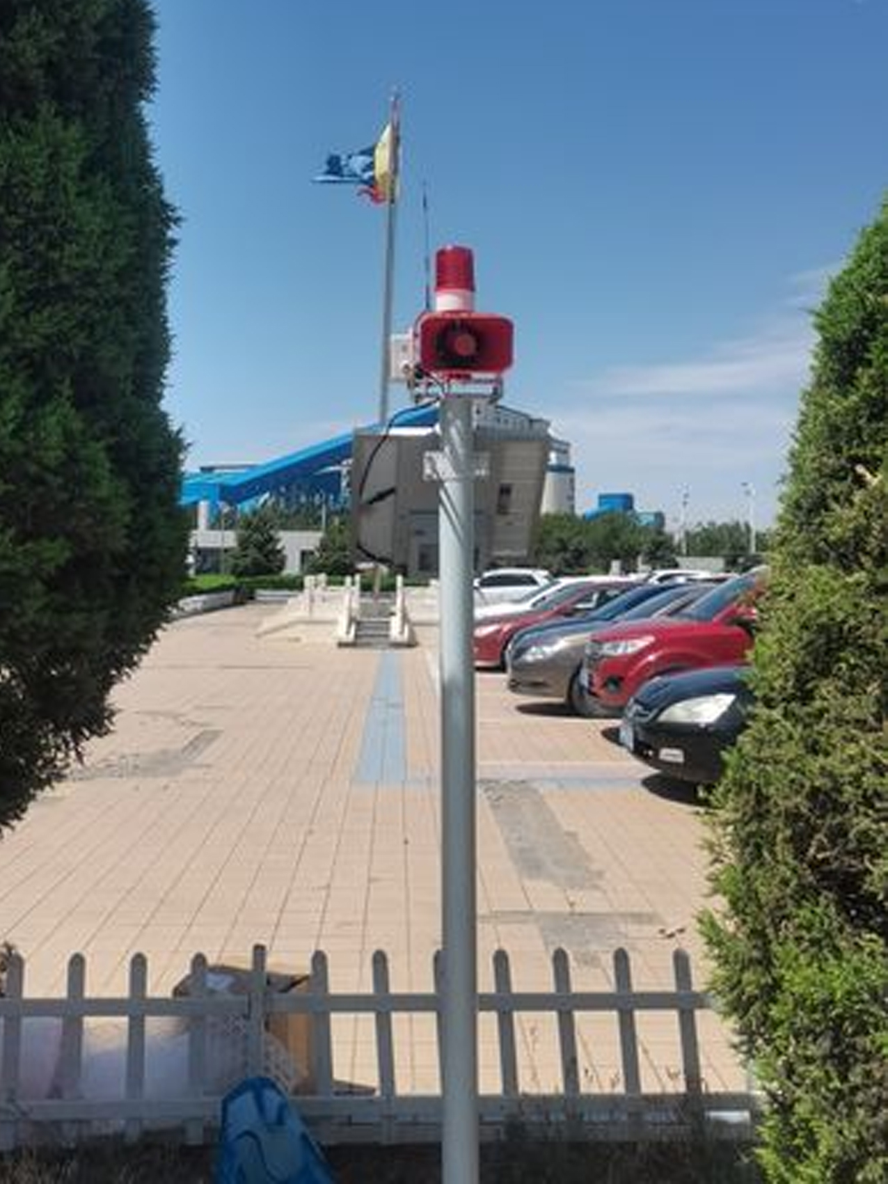 945.jpg