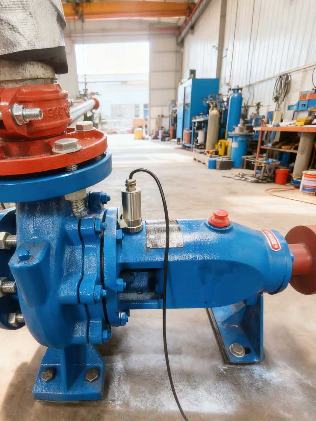 1765351730194009.jpg 207.jpg