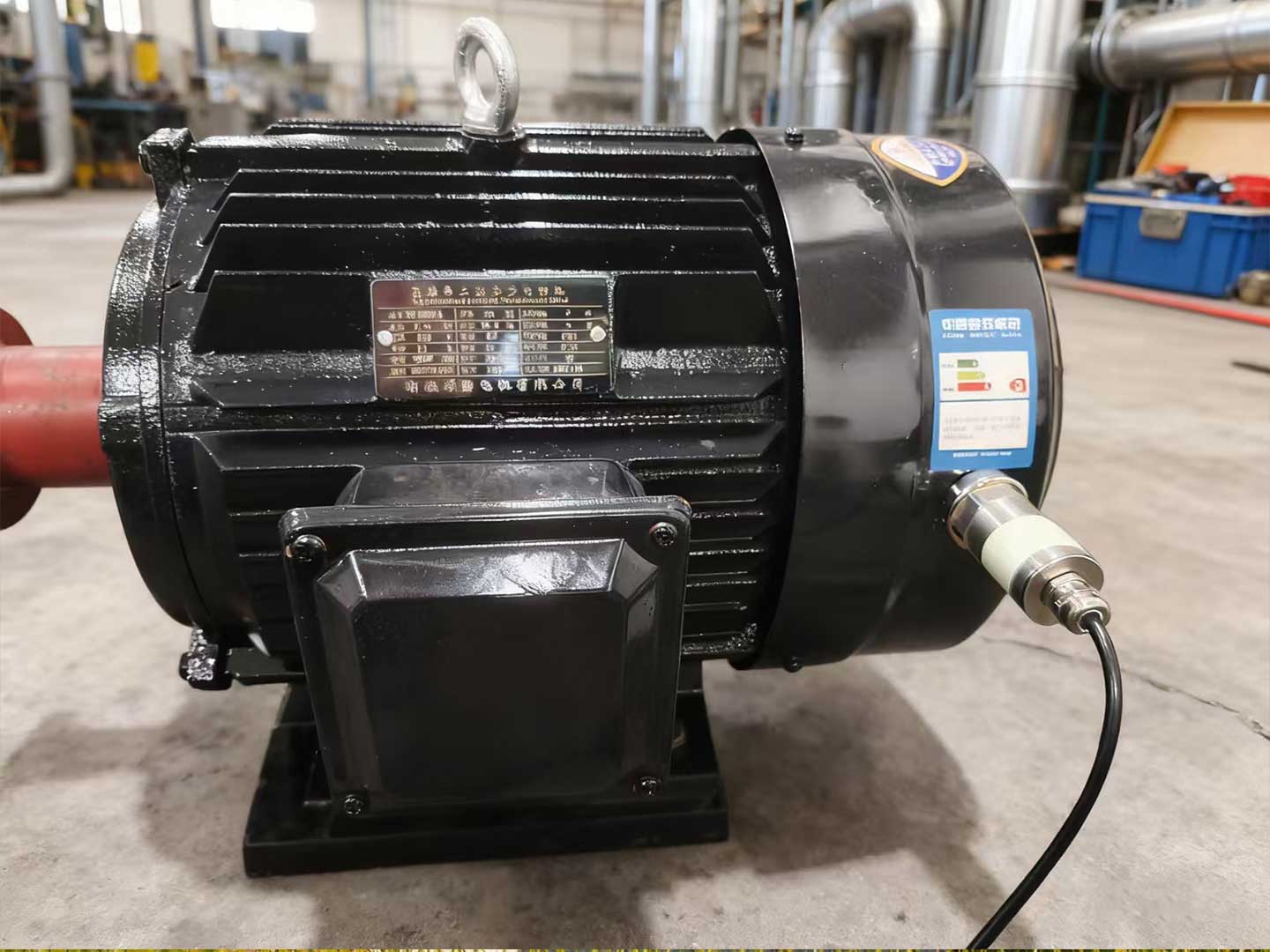 1765611064195089.jpg 308.jpg