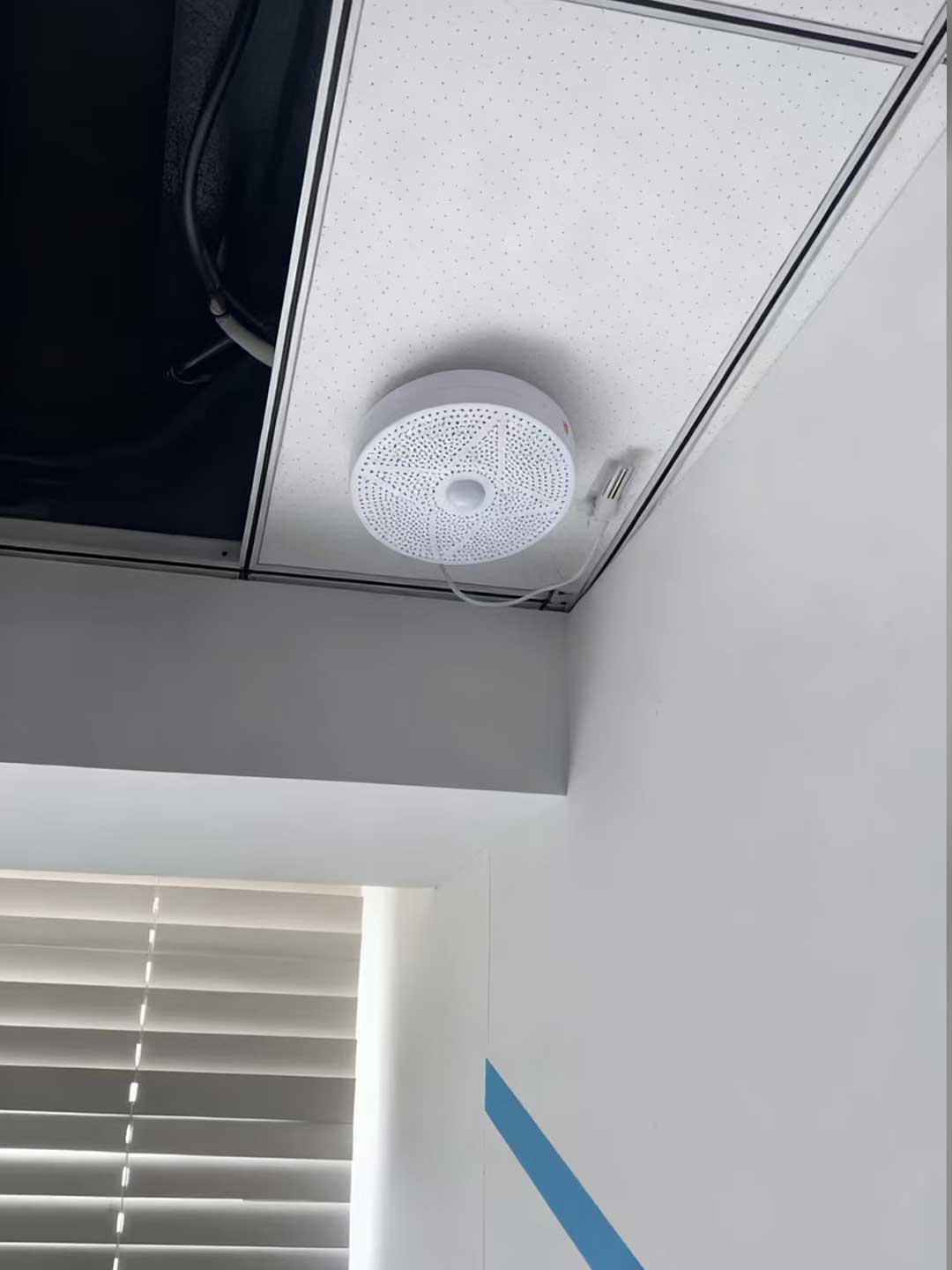 1765611151284930.jpg 305.jpg